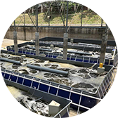 生物絮團對蝦養(yǎng)殖案例一